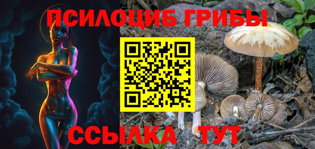 Аксай  Галлюциногенные грибы мицелий  Вход с VPN  Галлюциногенные грибы Psilocybine cubensis 